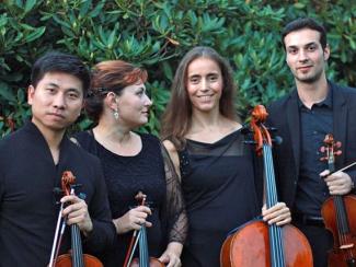 noah_quartett_2